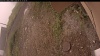 Web Cam Image - Mon, 09/15/2025 9:54am PDT