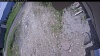 Web Cam Image - Sat, 06/13/2026 10:59am PDT