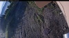Web Cam Image - Wed, 05/27/2026 5:24am PDT