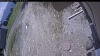 Web Cam Image - Wed, 05/20/2026 11:14am PDT