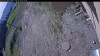 Web Cam Image - Tue, 06/02/2026 8:00am PDT