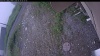 Web Cam Image - Tue, 06/30/2026 4:59am PDT