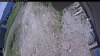 Web Cam Image - Sat, 06/13/2026 10:44am PDT