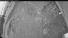 Web Cam Image - Mon, 06/29/2026 3:34am PDT