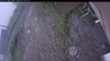 Web Cam Image - Tue, 06/30/2026 4:54am PDT