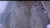 Web Cam Image - Mon, 05/11/2026 6:19am PDT