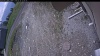 Web Cam Image - Wed, 05/20/2026 10:59am PDT