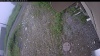 Web Cam Image - Tue, 06/30/2026 4:49am PDT