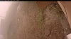 Web Cam Image - Mon, 09/15/2025 9:29am PDT
