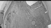 Web Cam Image - Fri, 05/01/2026 7:39pm PDT