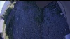 Web Cam Image - Fri, 06/19/2026 5:44pm PDT