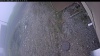 Web Cam Image - Wed, 05/13/2026 11:04am PDT