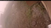 Web Cam Image - Mon, 09/15/2025 9:19am PDT