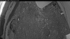 Web Cam Image - Mon, 06/08/2026 3:29am PDT