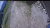 Web Cam Image - Sat, 06/13/2026 10:24am PDT