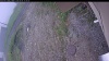 Web Cam Image - Thu, 06/04/2026 9:49am PDT