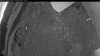 Web Cam Image - Mon, 06/08/2026 3:24am PDT