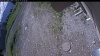 Web Cam Image - Thu, 06/11/2026 9:24am PDT