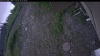 Web Cam Image - Tue, 06/30/2026 4:29am PDT