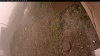 Web Cam Image - Mon, 09/15/2025 9:09am PDT