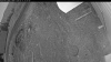 Web Cam Image - Mon, 05/11/2026 7:49pm PDT