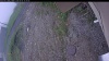 Web Cam Image - Thu, 06/04/2026 9:44am PDT