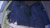 Web Cam Image - Tue, 06/16/2026 3:29pm PDT
