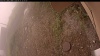 Web Cam Image - Mon, 09/15/2025 9:04am PDT