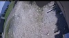 Web Cam Image - Fri, 05/22/2026 11:44am PDT