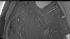 Web Cam Image - Mon, 05/18/2026 4:04am PDT