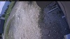 Web Cam Image - Thu, 05/21/2026 12:34pm PDT