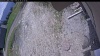 Web Cam Image - Sun, 05/24/2026 11:34am PDT