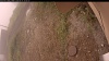 Web Cam Image - Mon, 09/15/2025 8:54am PDT
