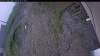 Web Cam Image - Thu, 06/04/2026 9:29am PDT