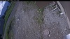 Web Cam Image - Thu, 06/11/2026 9:04am PDT
