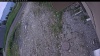 Web Cam Image - Mon, 06/15/2026 12:24pm PDT