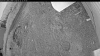 Web Cam Image - Mon, 06/22/2026 7:49pm PDT