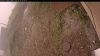 Web Cam Image - Mon, 09/15/2025 8:49am PDT