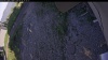 Web Cam Image - Sat, 06/20/2026 5:54pm PDT