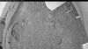 Web Cam Image - Mon, 06/22/2026 7:44pm PDT