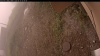 Web Cam Image - Mon, 09/15/2025 8:34am PDT