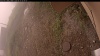 Web Cam Image - Mon, 09/15/2025 8:29am PDT
