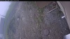 Web Cam Image - Tue, 05/19/2026 9:04am PDT