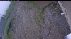 Web Cam Image - Thu, 06/04/2026 9:04am PDT
