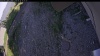 Web Cam Image - Sat, 06/20/2026 5:34pm PDT