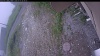 Web Cam Image - Wed, 07/01/2026 4:44am PDT