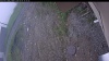 Web Cam Image - Thu, 06/04/2026 8:59am PDT