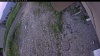 Web Cam Image - Mon, 06/22/2026 7:19pm PDT