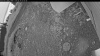 Web Cam Image - Tue, 06/30/2026 3:39am PDT