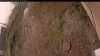 Web Cam Image - Mon, 09/15/2025 8:19am PDT